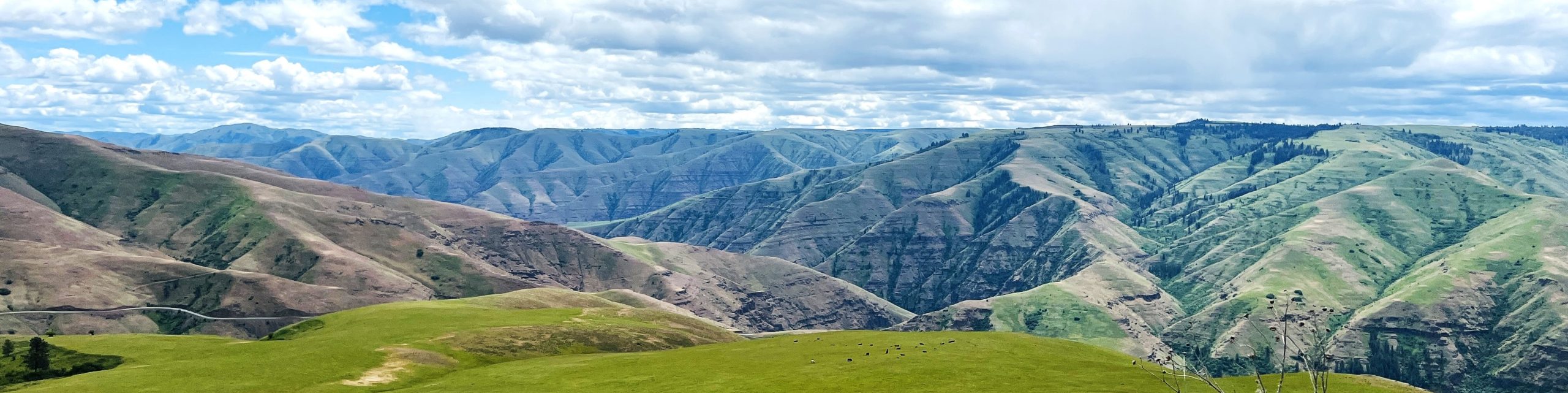 Scenic Photo of Asotin County