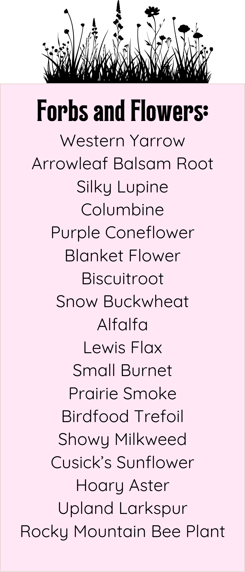 Forbs and Flowers Plant List