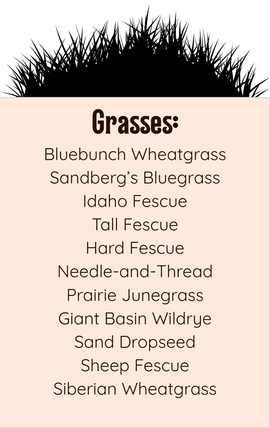 Native and Drought Tolerant Grasses List