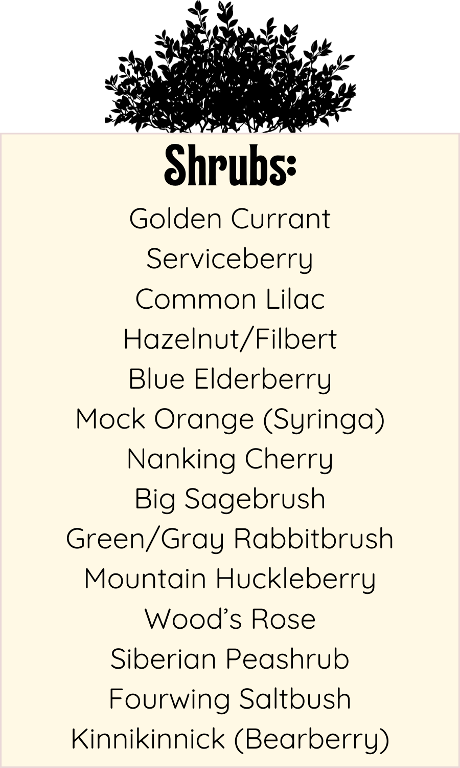 Native and Drought Tolerant Shrubs List