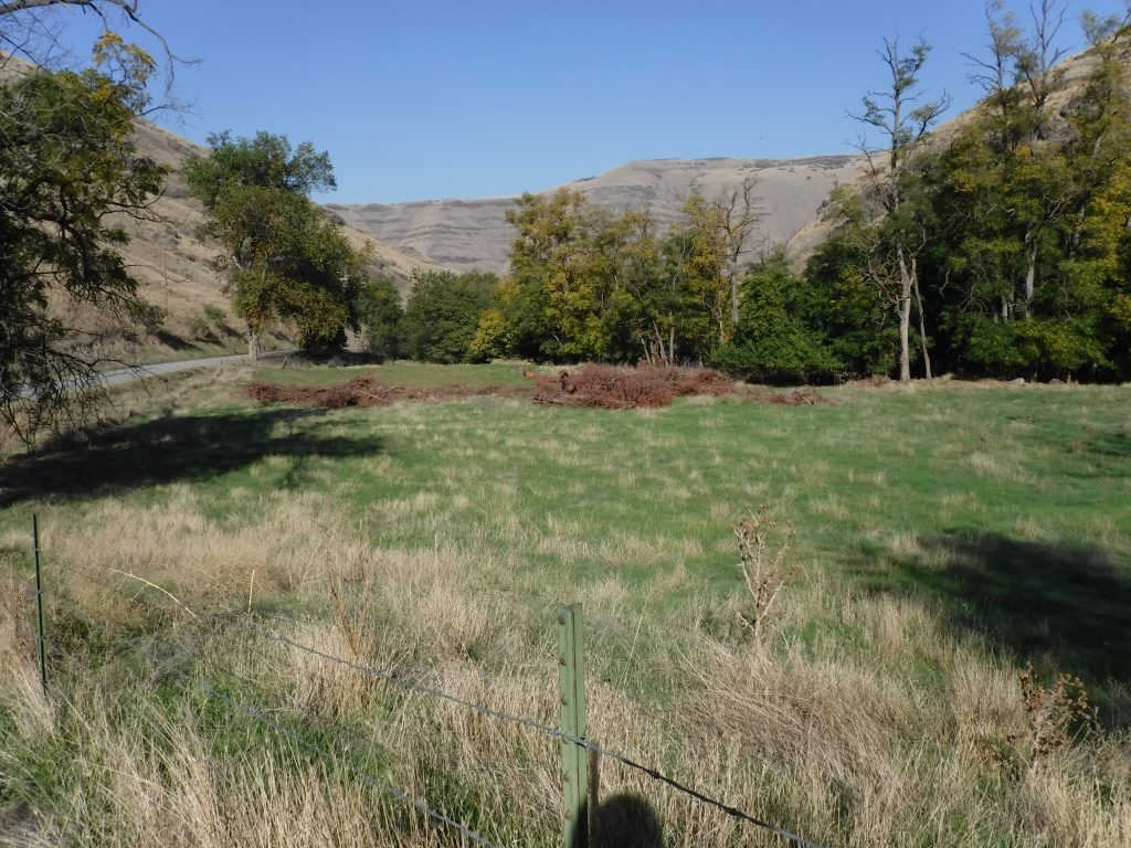 Photo of PA-64 Staging Area.