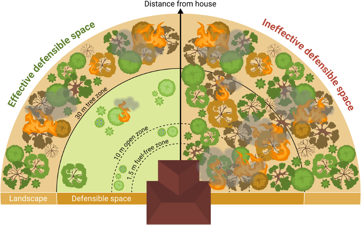 Defensible Space Graphic, firewise.