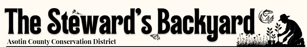 The Stewards Backyard Newsletter Title