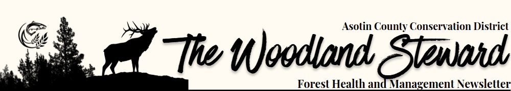 The Woodland Steward Newsletter Title
