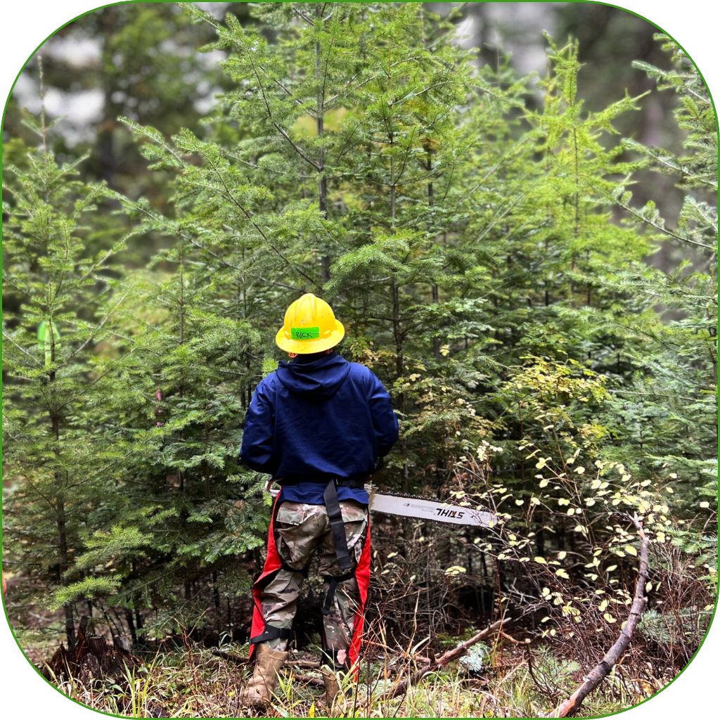 A crew member getting the chainsaw ready for a fuel reduction in Asotin County.